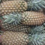 Pineapple