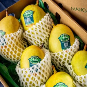 Mango (TJC)