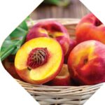 Nectarine