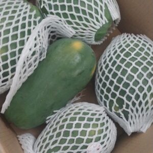 Papaya